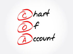 <h3>Chart of Accounts Clean Up</h3>