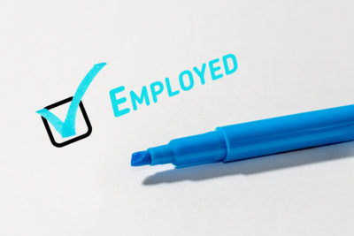 <h3>Employment Verification Report</h3> <h3>Employment Verification Report</h3>